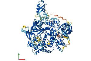 Protein Structure (PS) image for Phosphoinositide-3-Kinase, Catalytic, beta Polypeptide (PIK3CB) (AA 1-1064) protein (His tag) (ABIN7564423)