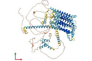Protein Structure (PS) image for Transmembrane Channel-Like 5 (Tmc5) (AA 1-967) protein (His tag) (ABIN7557027)