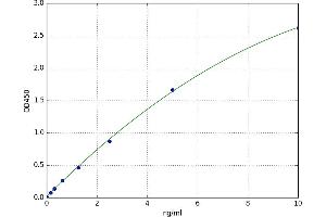 Heterogeneous Nuclear Ribonucleoprotein A2/B1 (HNRNPA2B1) ELISA Kit