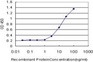 Detection limit for recombinant GST tagged NEFH is approximately 0. (NEFH Antikörper  (AA 263-363))