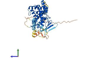 AlphaFold protein structure predicition of Mouse Recombinant Nr1i2 Protein, UniprotID O54915 (NR1I2 Protein (AA 1-431) (His tag))