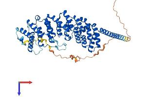 PPP2R5B Protein (AA 1-497) (His tag)