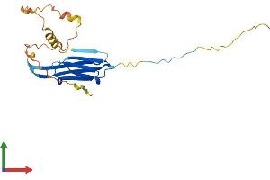 Protein Structure (PS) image for Heat Shock 27kDa Protein 1 (HSPB1) (AA 1-205) protein (His tag) (ABIN7548373)
