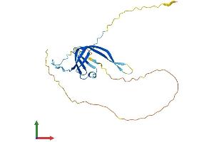 Protein Structure (PS) image for General Transcription Factor IIIC, Polypeptide 6, alpha 35kDa (GTF3C6) (AA 1-227) protein (His tag) (ABIN7561131)