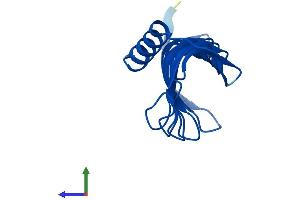 AlphaFold protein structure predicition of Human Recombinant MORN4 Protein, UniprotID Q8NDC4