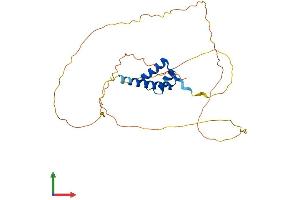 AlphaFold protein structure predicition of Mouse Recombinant Crx Protein, UniprotID O54751