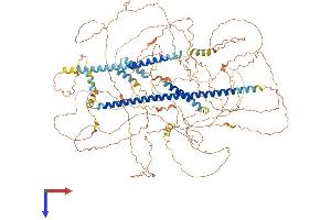 Centrosomal Protein 126 (CEP126) (AA 1-1117) protein (His tag)