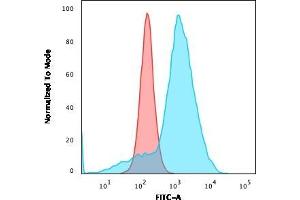 Flow Cytometric Analysis of U87MG cells using CD163 Mouse Monoclonal Antibody (M130/3296) followed by goat anti-Mouse IgG-CF488 (Blue); Isotype Control (Red). (CD68 Antikörper)