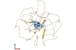 Protein Structure (PS) image for Chromosome 11 Open Reading Frame 82 (C11orf82) (AA 1-998) protein (His tag) (ABIN7546968)