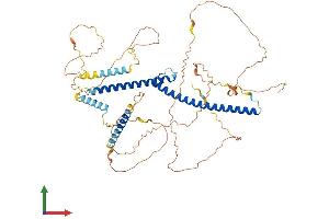 Protein Structure (PS) image for Transcription Factor E3 (TFE3) (AA 1-572) protein (His tag) (ABIN7563974)