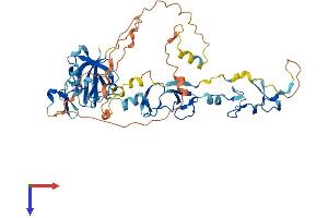 PDLIM7 Protein (AA 1-457) (His tag)