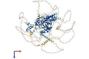 PHF2 Protein (AA 1-1096) (His tag)