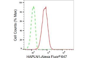 Flow cytometric analysis of HAPLN1 expression in C2C12 cells using HAPLN1 antibody (ABIN7799008), 1:2,000). (Rekombinanter HAPLN1 Antikörper)