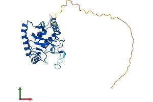 Protein Structure (PS) image for Ubiquitin-Conjugating Enzyme E2R 2 (UBE2R2) (AA 1-238) protein (His tag) (ABIN7544983)