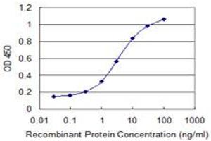 Detection limit for recombinant GST tagged SLC44A2 is 0. (SLC44A2 Antikörper  (AA 123-230))