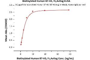 Immobilized Monoclonal A B7-H3 / B7-H3 (4Ig) Antibody, Human IgG1 at 2 μg/mL (100 μL/well) can bind Biotinylated Human B7-H3, Fc,Avitag (ABIN5954964,ABIN6253600) with a linear range of 0.