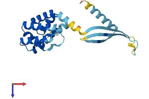 COMMD7 Protein (AA 1-200) (His tag)