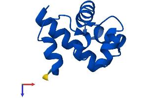 BANF1 Protein (AA 1-89) (His tag)