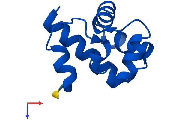 BANF1 Protein (AA 1-89) (His tag)