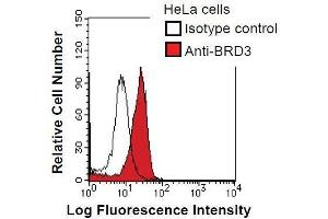 HeLa cells were fixed in 2% paraformaldehyde/PBS and then permeabilized in 90% methanol. (BRD3 Antikörper)