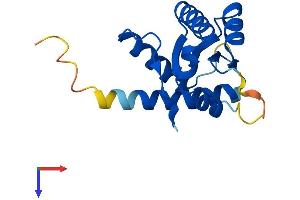 GADD45G Protein (AA 1-159) (His tag)