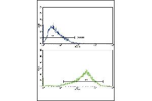 Flow Cytometry (FACS) image for anti-Adaptor-Related Protein Complex 2, alpha 2 Subunit (AP2A2) (AA 610-637) antibody (ABIN652491)