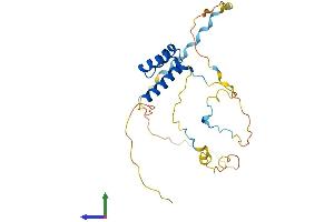 Protein Structure (PS) image for Homeobox B4 (HOXB4) (AA 1-251) protein (His tag) (ABIN7548438)