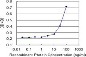 Sandwich ELISA detection sensitivity ranging from 10 ng/mL to 100 ng/mL. (GRN (Human) Matched Antibody Pair)
