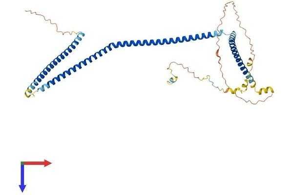 CCDC83 Protein (AA 1-413) (His tag)