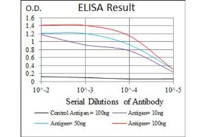 Red: Control Antigen (100ng) ; Purple: Antigen (10ng) ; Green: Antigen (50ng) ; Blue: Antigen (100ng). (PAX5 Antikörper  (AA 235-382))