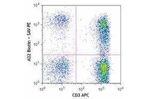 Flow Cytometry (FACS) image for anti-5'-Nucleotidase, Ecto (CD73) (NT5E) antibody (Biotin) (ABIN2660768) (CD73 Antikörper  (Biotin))