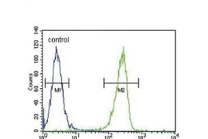 KIR2DS2 Antibody (Center) (ABIN651951 and ABIN2840473) flow cytometric analysis of  cells (right histogram) compared to a negative control cell (left histogram). (KIR2DS2 Antikörper  (AA 39-65))