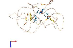 EGR1 Protein (AA 1-533) (His tag)
