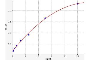 Lamin B1 ELISA Kit