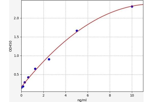 Lamin B1 ELISA Kit