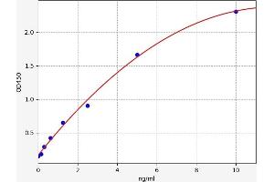Typical standard curve (Lamin B1 ELISA Kit)