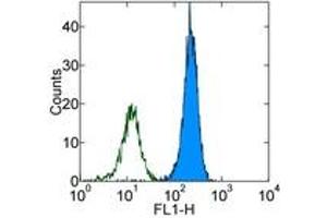 Image no. 1 for anti-Integrin alpha M (ITGAM) antibody (FITC) (ABIN474259) (CD11b Antikörper  (FITC))