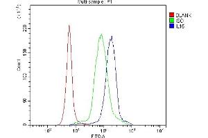 Flow Cytometry analysis of human PBMC cells using anti-IL15 antibody (ABIN7602347). (IL-15 Antikörper  (AA 70-162))