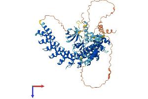RIPK4 Protein (AA 1-786) (His tag)