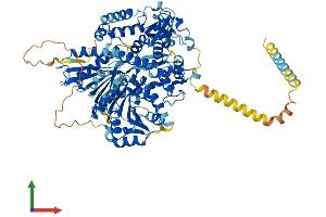 Protein Structure (PS) image for DEAH (Asp-Glu-Ala-His) Box Polypeptide 40 (DHX40) (AA 1-779) protein (His tag) (ABIN7558056)