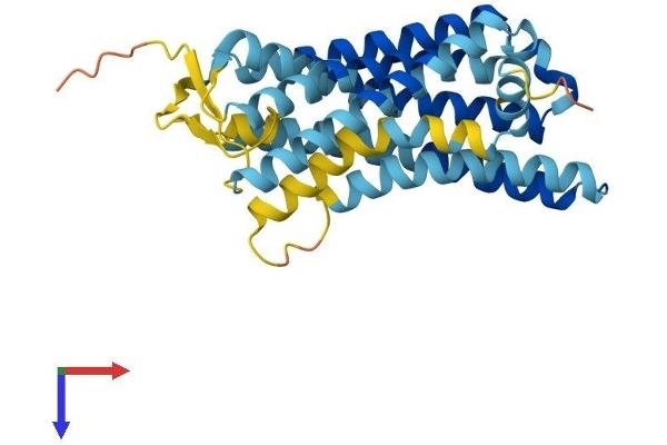 OR2A4 Protein (AA 1-310) (His tag)