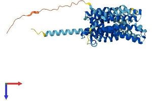 Chromosome 6 Open Reading Frame 192 (C6orf192) (AA 1-456) protein (His tag)