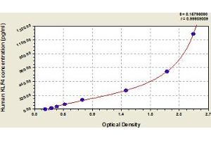 Typical Standard Curve (KLF4 ELISA Kit)