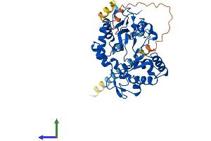 AlphaFold protein structure predicition of Mouse Recombinant St8sia3 Protein, UniprotID Q64689