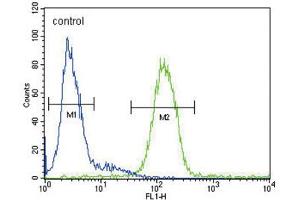 Flow Cytometry (FACS) image for anti-Ceruloplasmin (Ferroxidase) (CP) antibody (ABIN3003153) (Ceruloplasmin Antikörper)