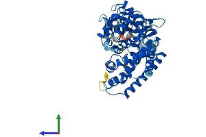 Protein Structure (PS) image for Cytochrome P450, Family 21, Subfamily A, Polypeptide 2 (CYP21A2) (AA 1-487) protein (His tag) (ABIN7562738)