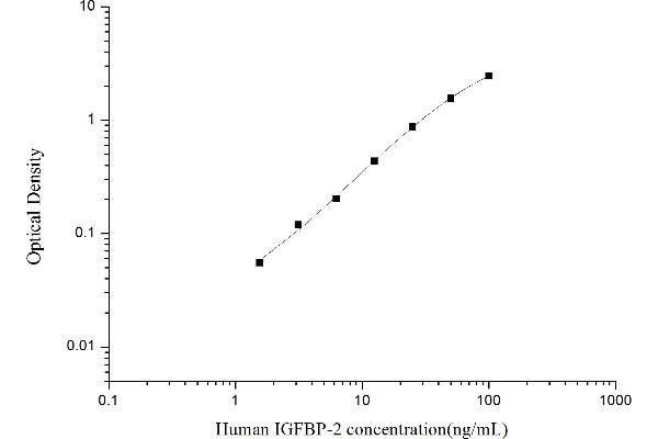 IGFBP2 ELISA Kit