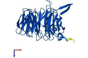BUB3 Protein (AA 1-328) (His tag)