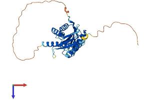 IMPACT Protein (AA 1-318) (His tag)