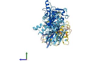 Protein Structure (PS) image for Calpain 13 (CAPN13) (AA 1-665) protein (His tag) (ABIN7557297)